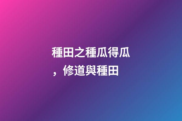 種田之種瓜得瓜，修道與種田(黃帝訪道)-第1張-觀點-玄機派