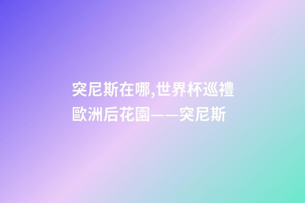 突尼斯在哪,世界杯巡禮歐洲后花園——突尼斯-第1張-觀點(diǎn)-玄機(jī)派