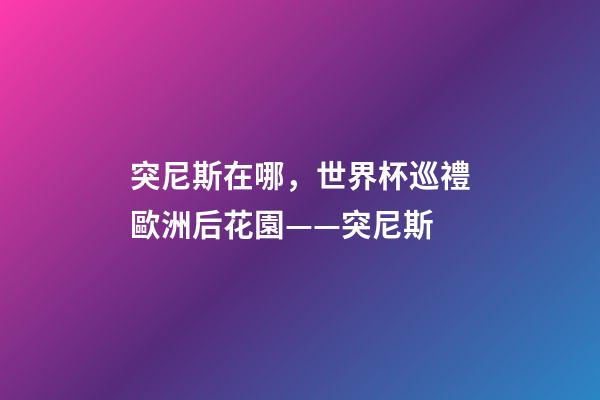 突尼斯在哪，世界杯巡禮歐洲后花園——突尼斯-第1張-觀點(diǎn)-玄機(jī)派