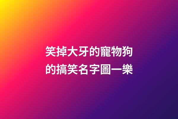 笑掉大牙的寵物狗的搞笑名字圖一樂