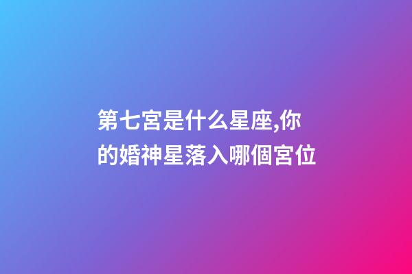 第七宮是什么星座,你的婚神星落入哪個宮位-第1張-觀點-玄機派