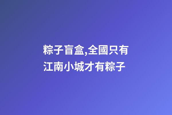 粽子盲盒,全國只有江南小城才有粽子-第1張-觀點(diǎn)-玄機(jī)派