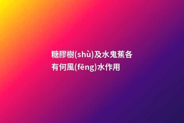 糖膠樹(shù)及水鬼蕉各有何風(fēng)水作用?