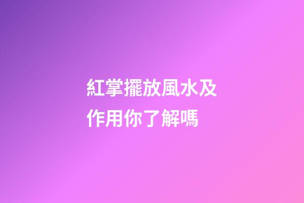 紅掌擺放風水及作用你了解嗎