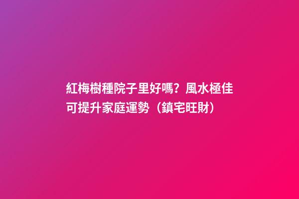 紅梅樹種院子里好嗎？風水極佳可提升家庭運勢（鎮宅旺財）
