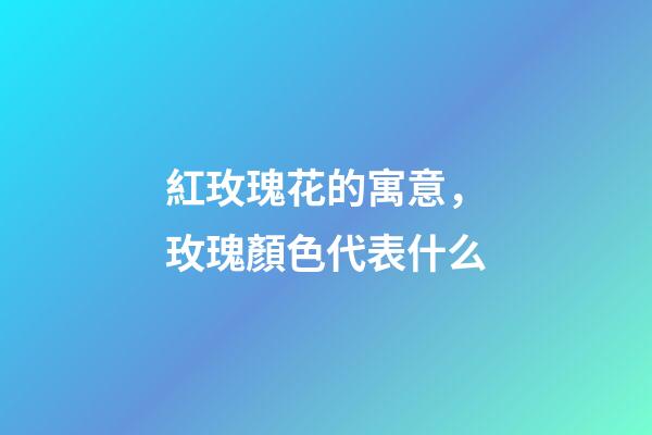紅玫瑰花的寓意，玫瑰顏色代表什么-第1張-觀點-玄機派