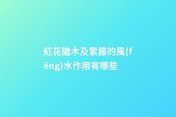 紅花繼木及紫藤的風(fēng)水作用有哪些?