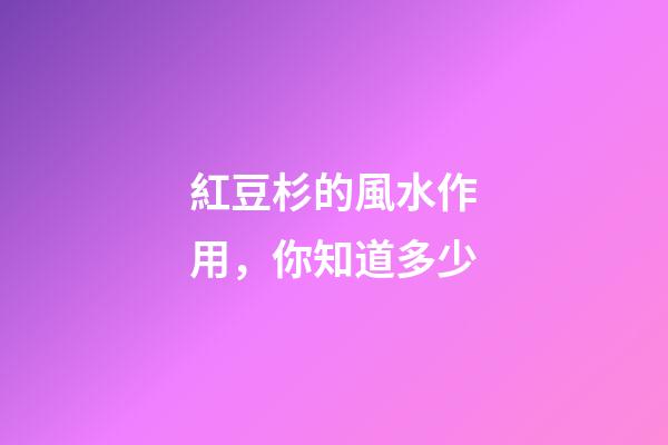 紅豆杉的風水作用，你知道多少