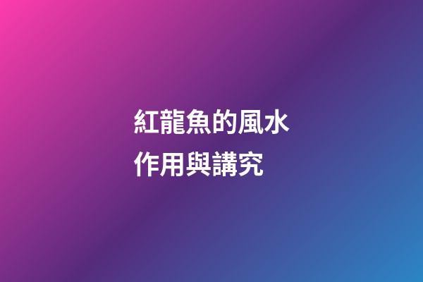 紅龍魚的風水作用與講究