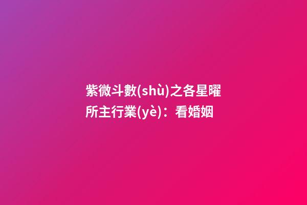 紫微斗數(shù)之各星曜所主行業(yè)：看婚姻