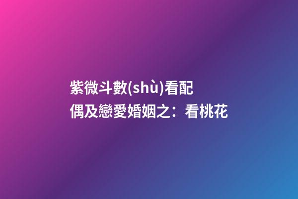 紫微斗數(shù)看配偶及戀愛婚姻之：看桃花