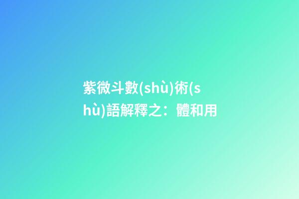 紫微斗數(shù)術(shù)語解釋之：體和用