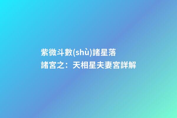 紫微斗數(shù)諸星落諸宮之：天相星夫妻宮詳解