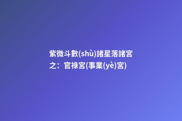 紫微斗數(shù)諸星落諸宮之：官祿宮(事業(yè)宮)