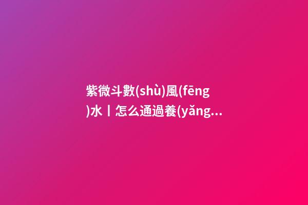紫微斗數(shù)風(fēng)水丨怎么通過養(yǎng)狗旺風(fēng)水？