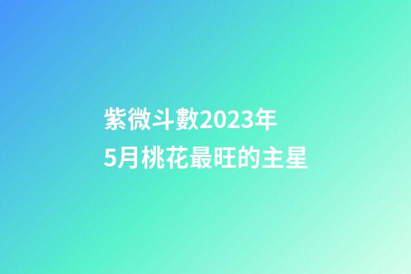 紫微斗數2023年5月桃花最旺的主星