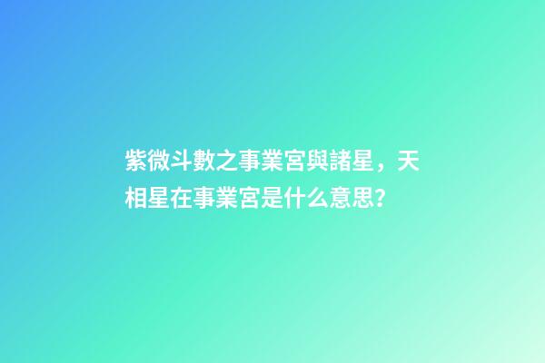 紫微斗數之事業宮與諸星，天相星在事業宮是什么意思？