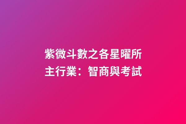 紫微斗數之各星曜所主行業：智商與考試