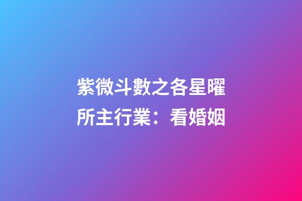 紫微斗數之各星曜所主行業：看婚姻