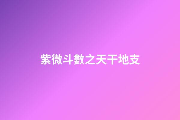紫微斗數之天干地支
