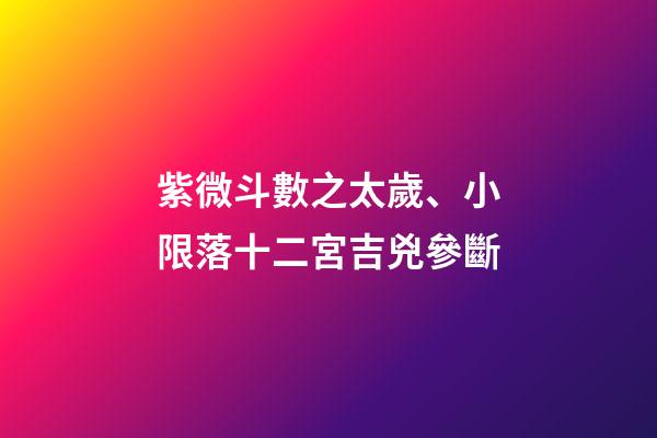 紫微斗數之太歲、小限落十二宮吉兇參斷
