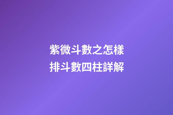 紫微斗數之怎樣排斗數四柱詳解