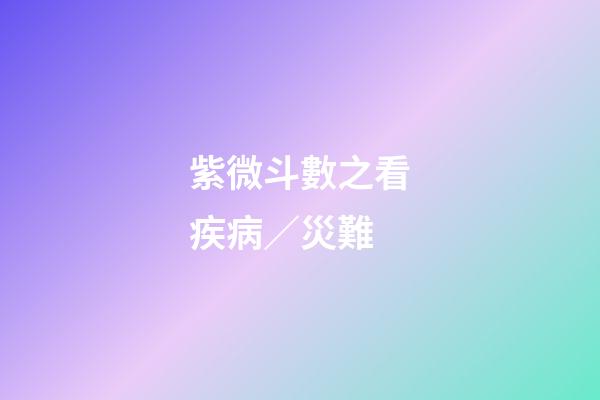 紫微斗數之看疾病／災難