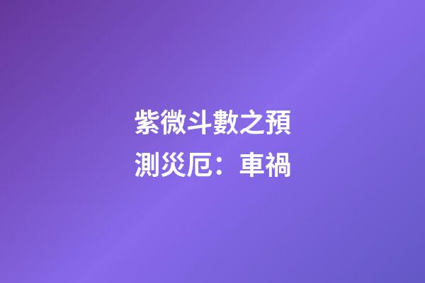 紫微斗數之預測災厄：車禍