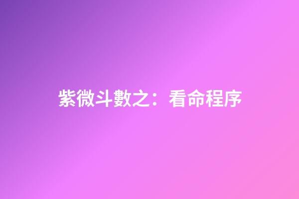 紫微斗數之：看命程序