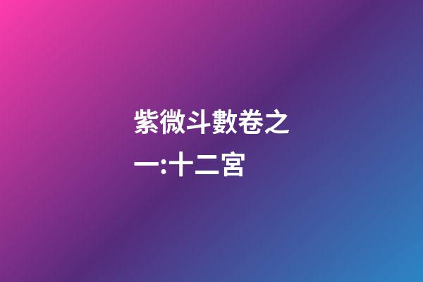 紫微斗數卷之一:十二宮