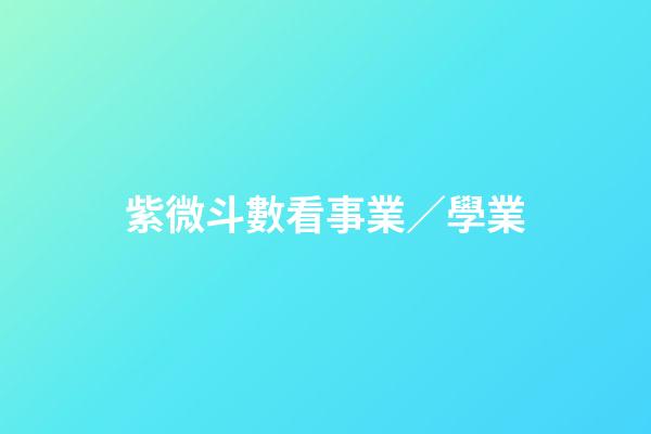 紫微斗數看事業／學業