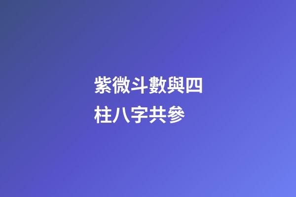 紫微斗數與四柱八字共參