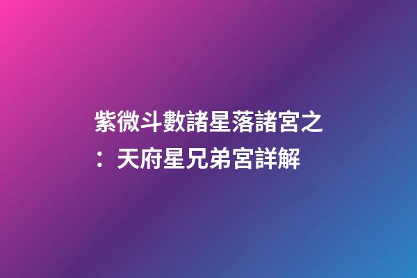 紫微斗數諸星落諸宮之：天府星兄弟宮詳解