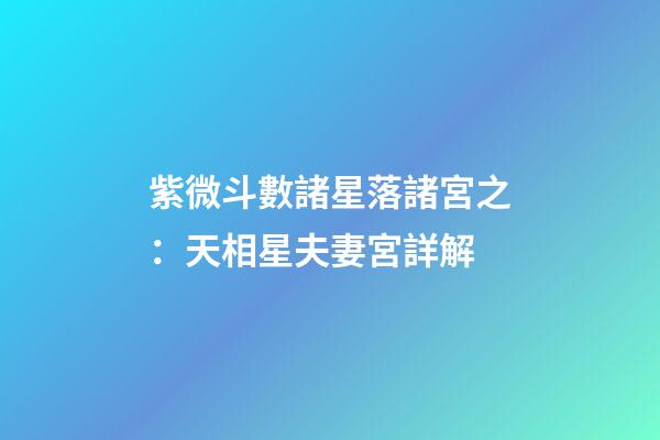 紫微斗數諸星落諸宮之：天相星夫妻宮詳解