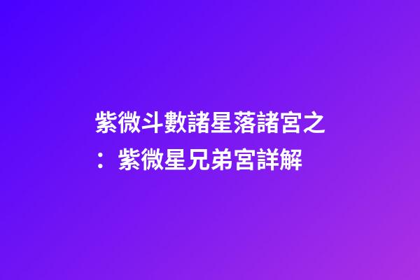 紫微斗數諸星落諸宮之：紫微星兄弟宮詳解
