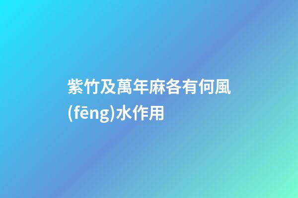 紫竹及萬年麻各有何風(fēng)水作用?