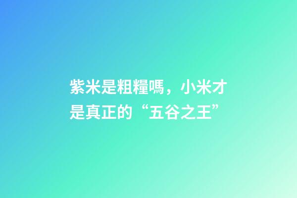 紫米是粗糧嗎，小米才是真正的“五谷之王”