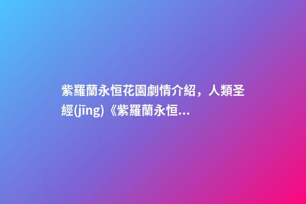 紫羅蘭永恒花園劇情介紹，人類圣經(jīng)《紫羅蘭永恒花園》表現(xiàn)不盡人意-第1張-觀點-玄機派