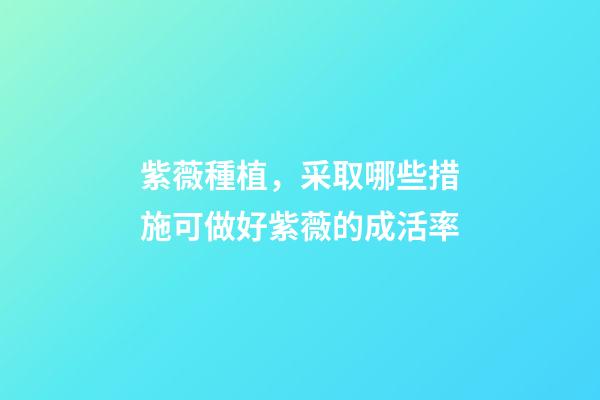 紫薇種植，采取哪些措施可做好紫薇的成活率-第1張-觀點-玄機派