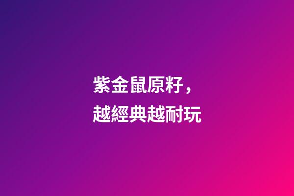 紫金鼠原籽，越經典越耐玩-第1張-觀點-玄機派