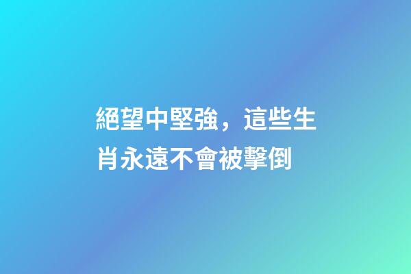 絕望中堅強，這些生肖永遠不會被擊倒