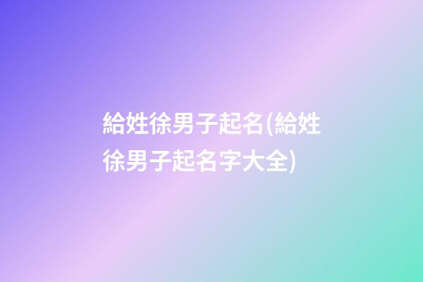 給姓徐男子起名(給姓徐男子起名字大全)