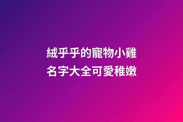 絨乎乎的寵物小雞名字大全可愛稚嫩