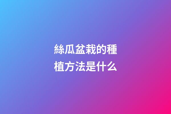 絲瓜盆栽的種植方法是什么
