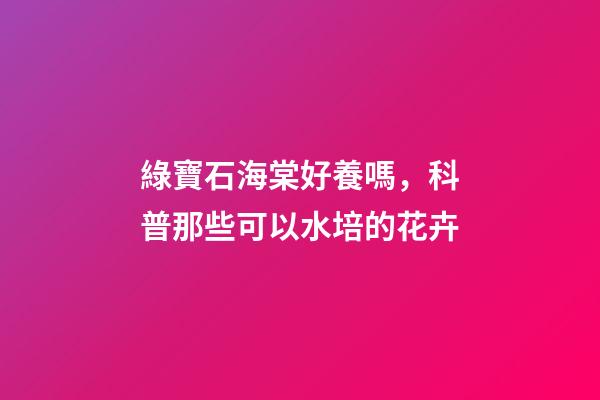綠寶石海棠好養嗎，科普那些可以水培的花卉-第1張-觀點-玄機派