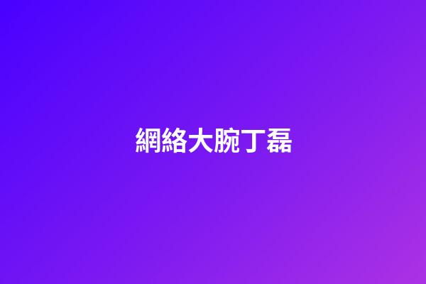 網絡大腕丁磊