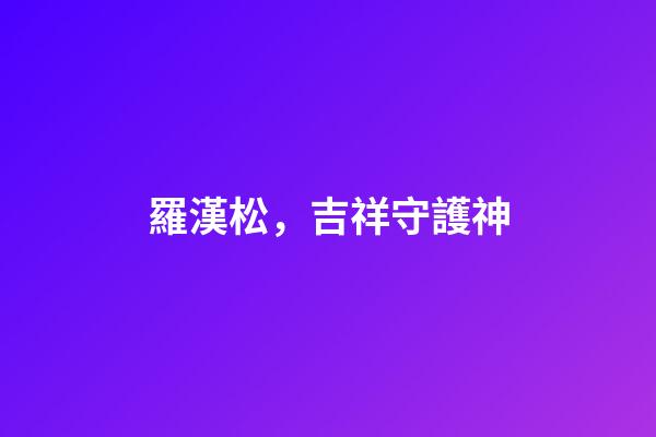 羅漢松，吉祥守護神
