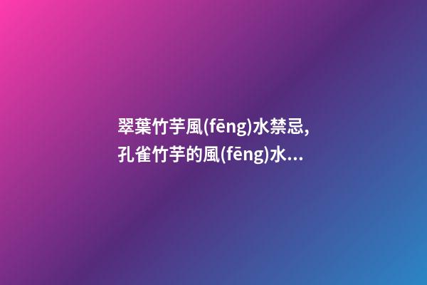 翠葉竹芋風(fēng)水禁忌,孔雀竹芋的風(fēng)水作用擺放有哪些講究