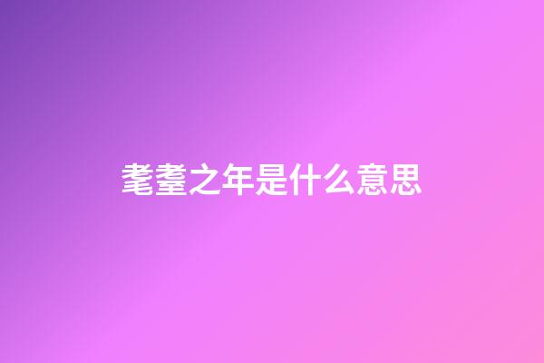 耄耋之年是什么意思