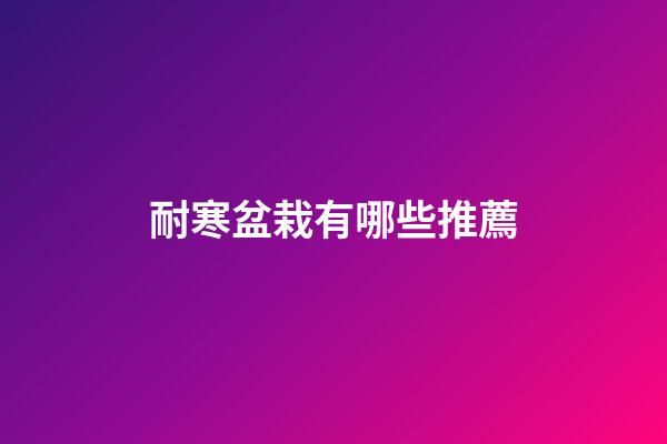耐寒盆栽有哪些推薦
